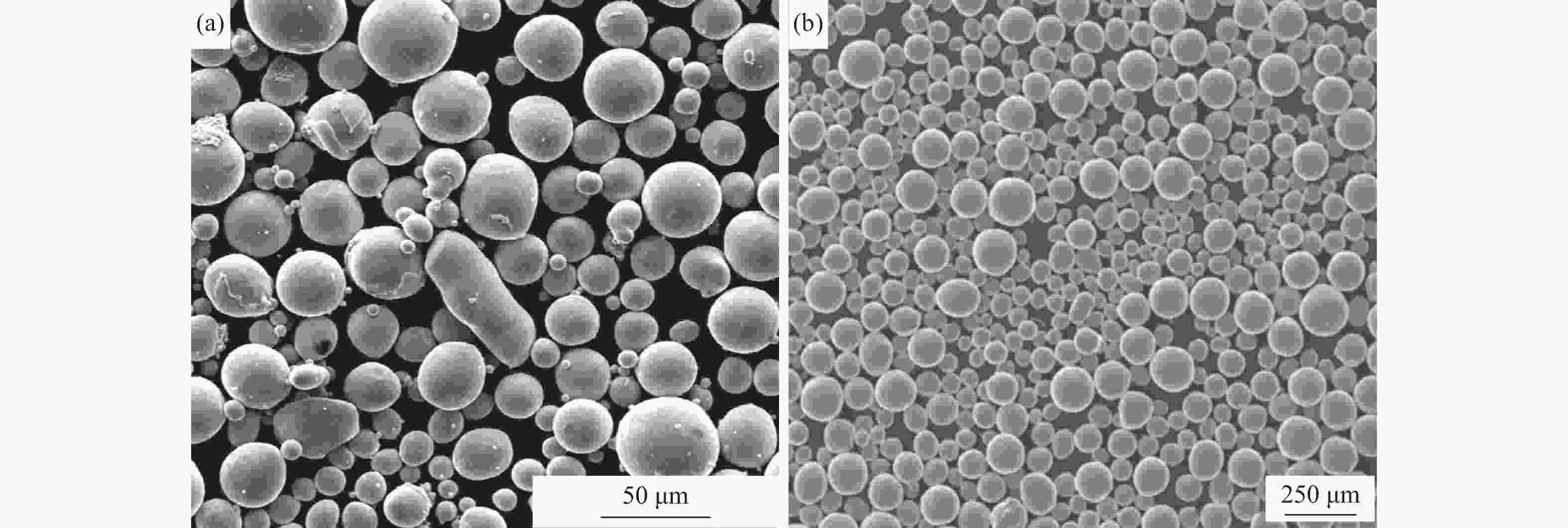 Research progress of NiTi alloys fabricated by additive manufacturing