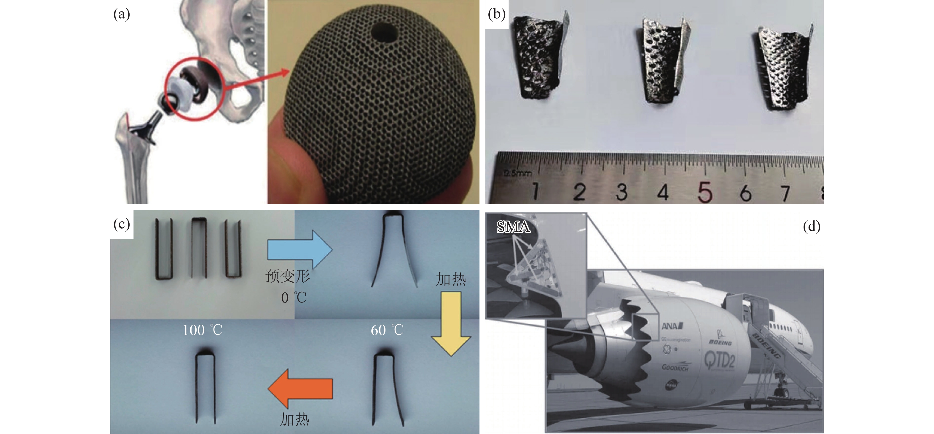 Research progress of NiTi alloys fabricated by additive manufacturing